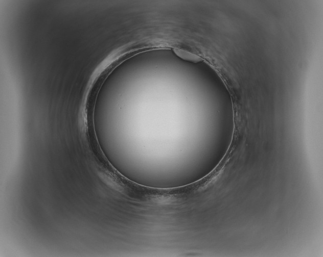 X0000112530246200908241512