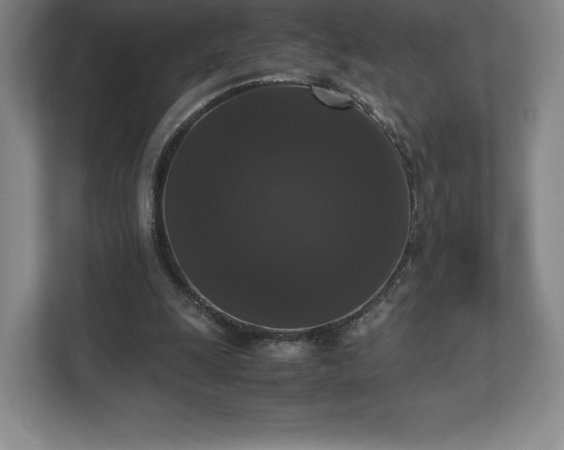 X0000112530247200908241512