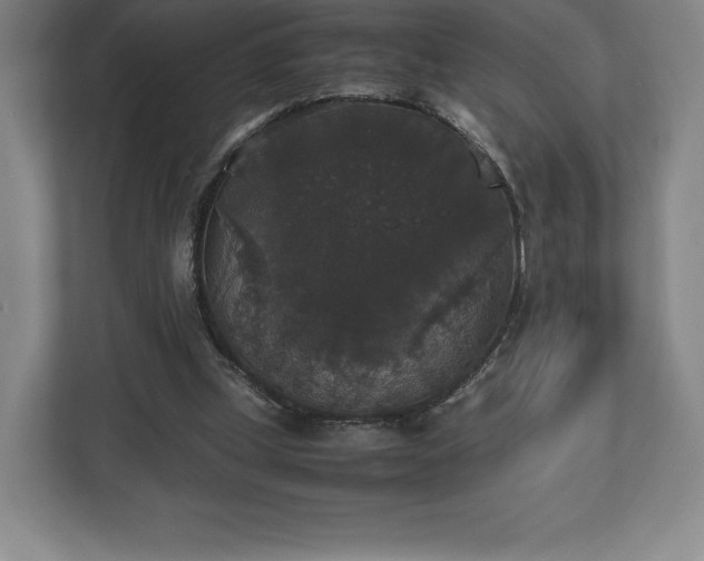 X0000112530249200908241512