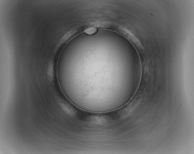 X0000112530250200908241512