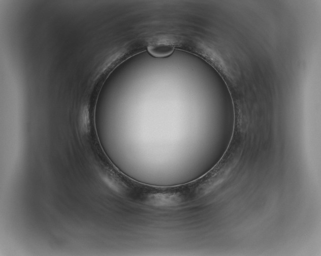 X0000112530251200908241512