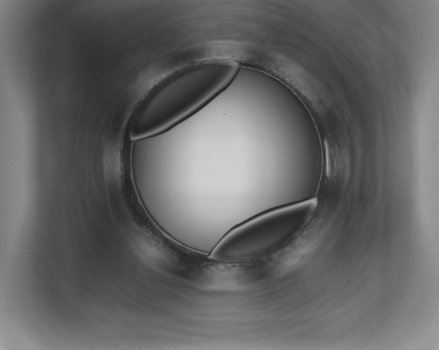 X0000112530252200908241512