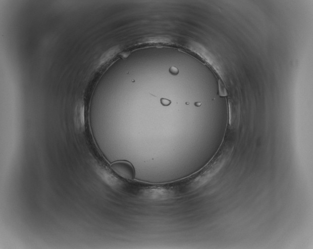 X0000112530253200908241512