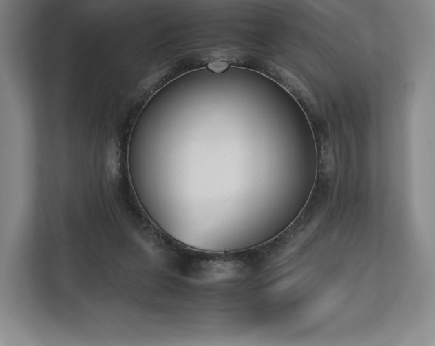 X0000112530255200908241512