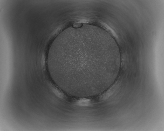 X0000112530257200908241512