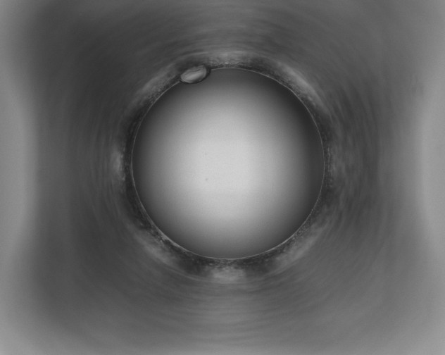 X0000112530258200908241512