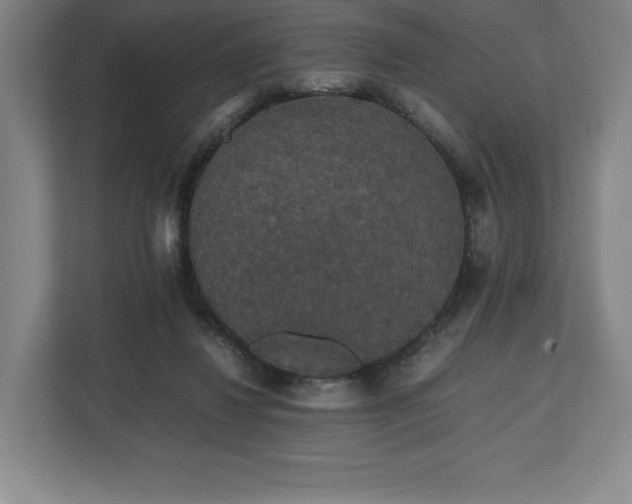 X0000112530260200908241512