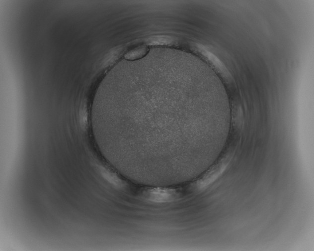 X0000112530261200908241512
