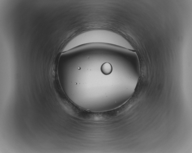 X0000112530264200908241512
