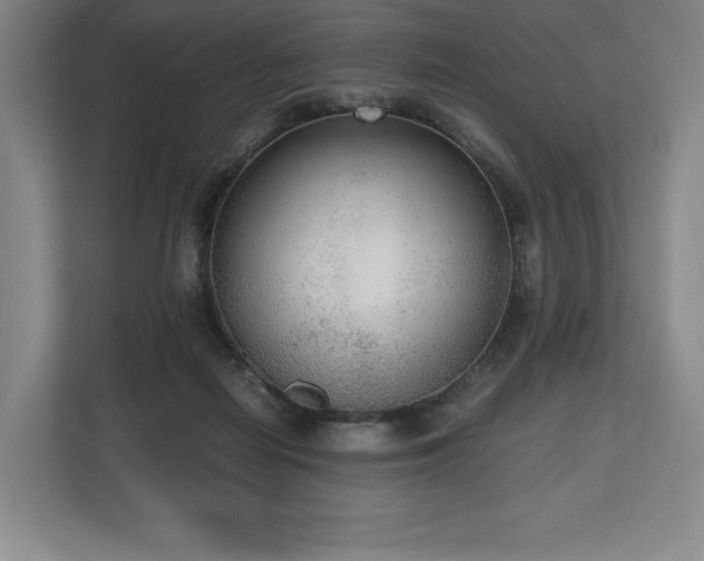 X0000112530266200908241512