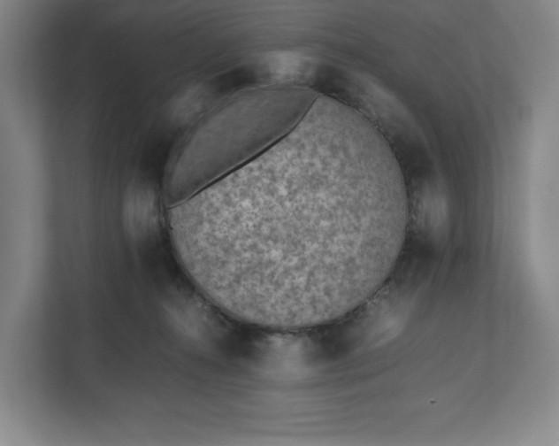 X0000112530272200908241513