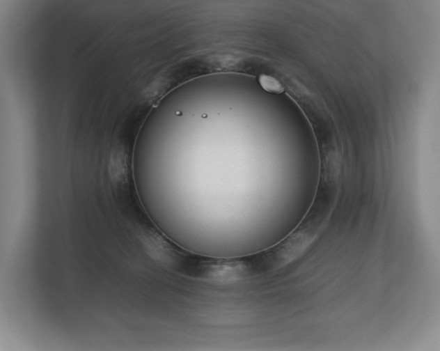X0000112530274200908241513