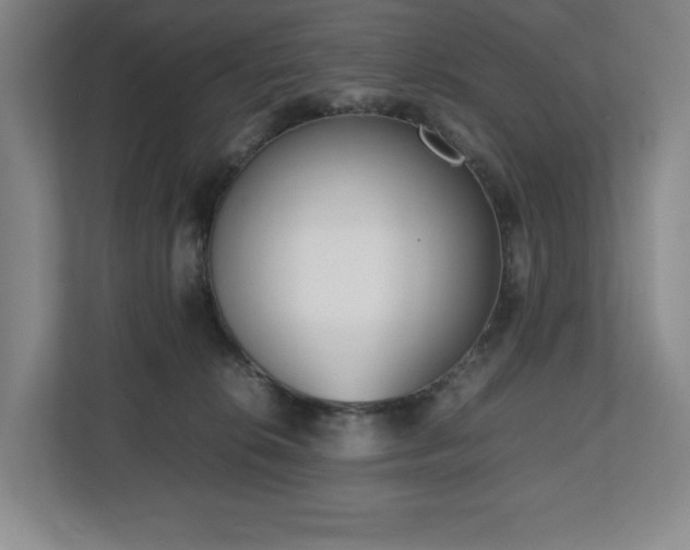 X0000112530276200908241513