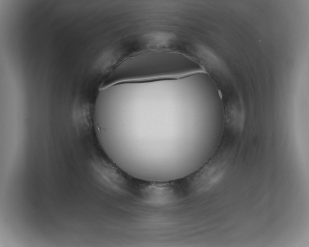 X0000112530280200908241513