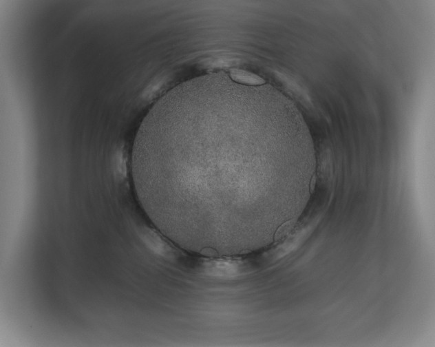 X0000112530282200908241513