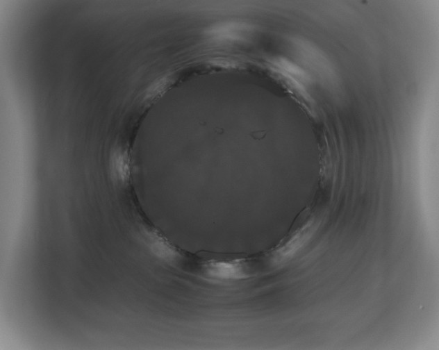 X0000112530285200908241513