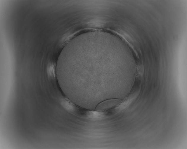 X0000112530286200908241513