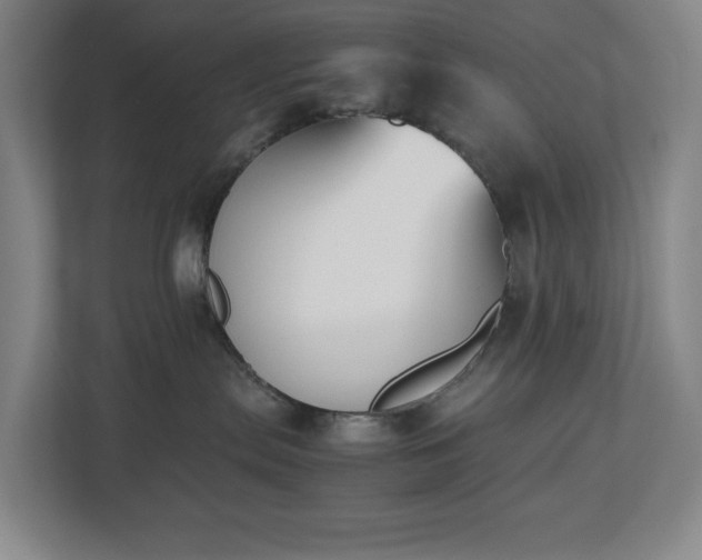 X0000112530287200908241513