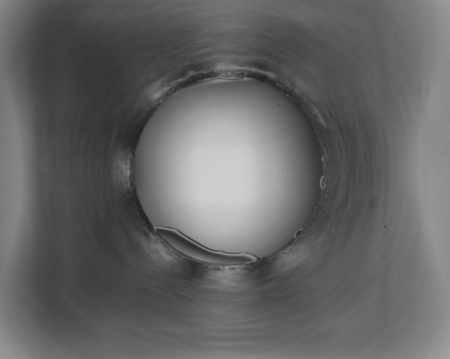 X0000112530288200908241513