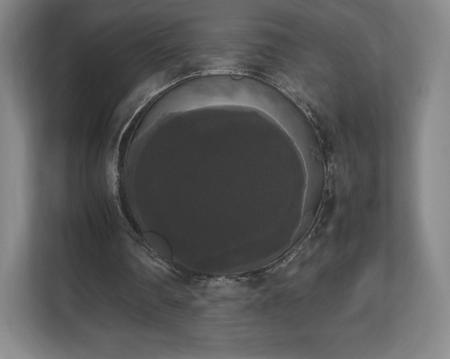 X0000112530290200908241512