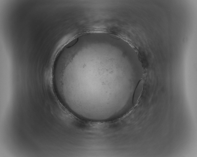 X0000112530293200908241512