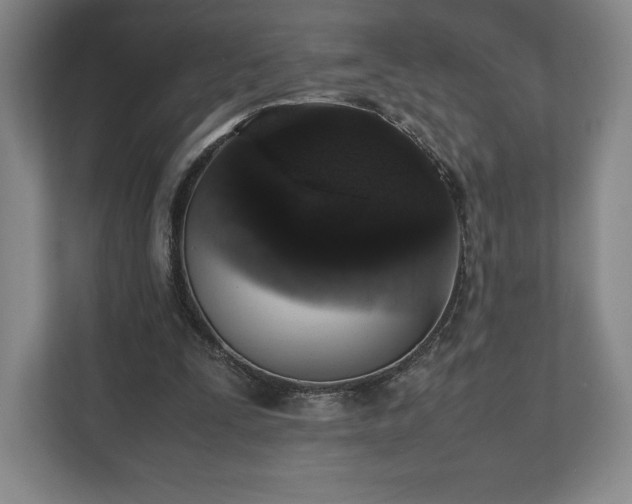 X0000112530295200908241512