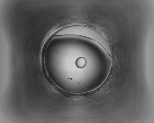 X0000112530296200908241512