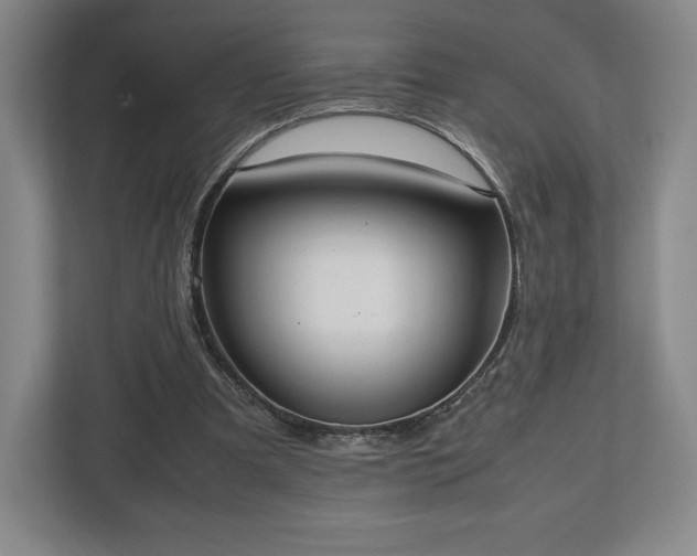 X0000112530297200908241512
