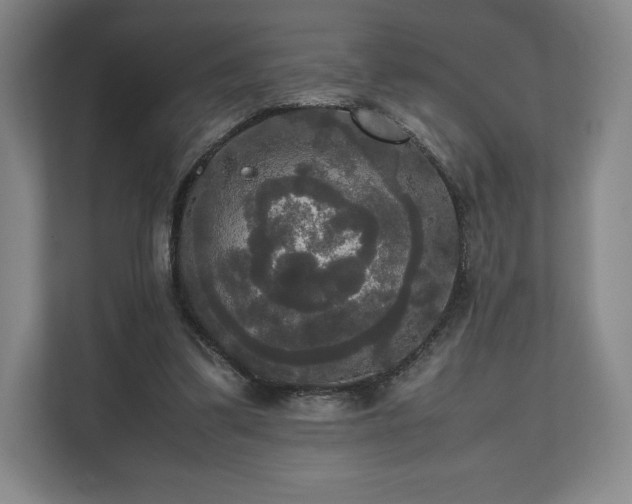 X0000112530299200908241512
