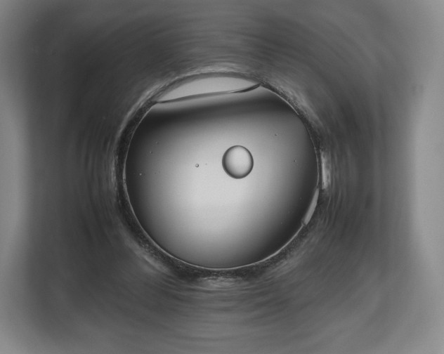 X0000112530300200908241512