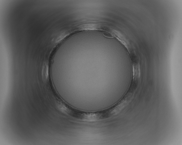 X0000112530301200908241512
