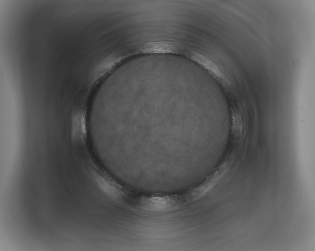 X0000112530302200908241512