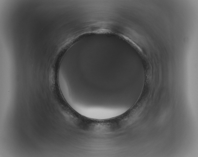 X0000112530303200908241512