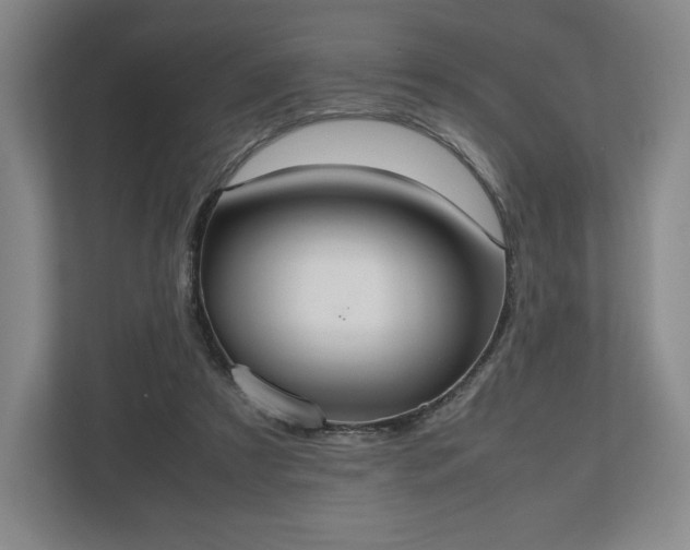 X0000112530305200908241512