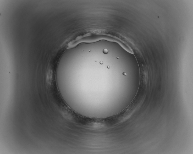 X0000112530308200908241512