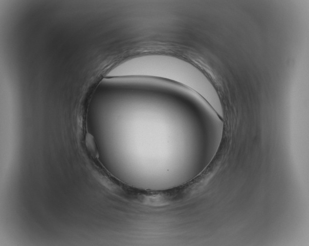 X0000112530309200908241512