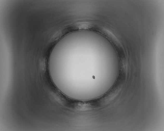 X0000112530311200908241512
