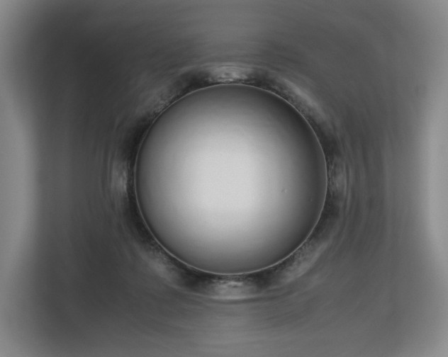 X0000112530315200908241512