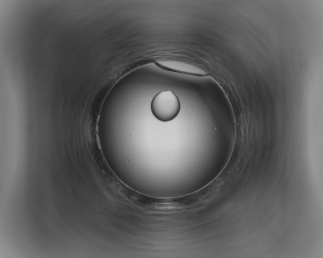 X0000112530316200908241512
