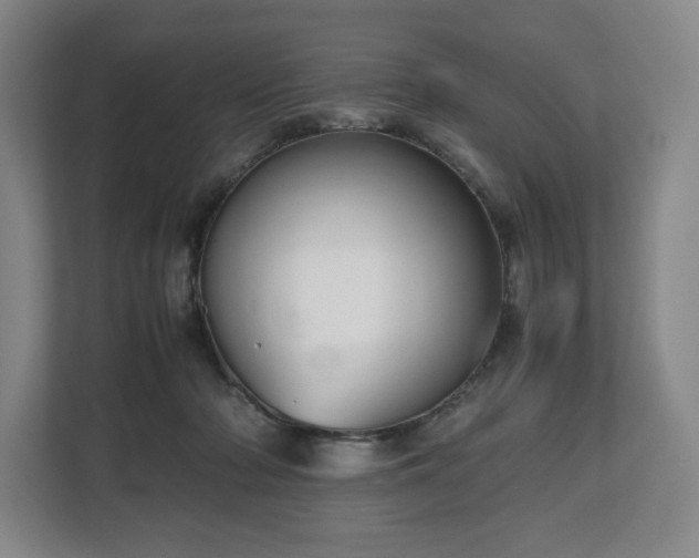 X0000112530318200908241512
