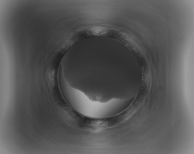 X0000112530319200908241512