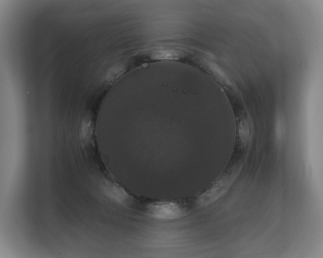 X0000112530322200908241512