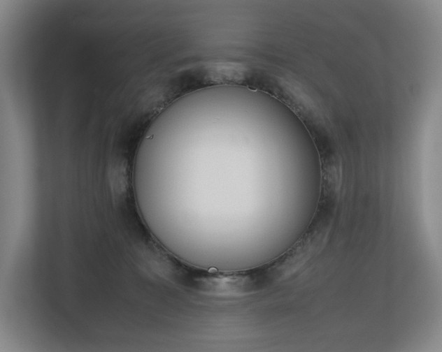 X0000112530323200908241512