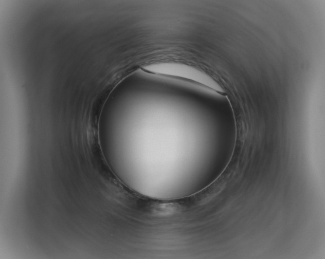 X0000112530324200908241512