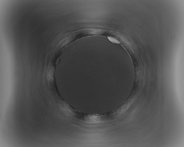 X0000112530325200908241512