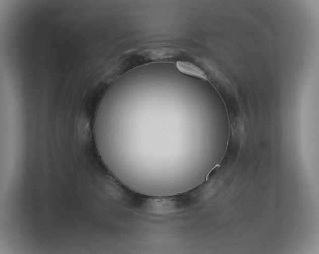 X0000112530327200908241512