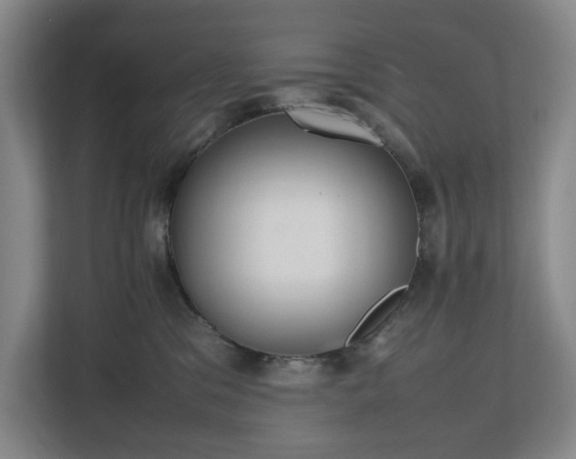 X0000112530329200908241512