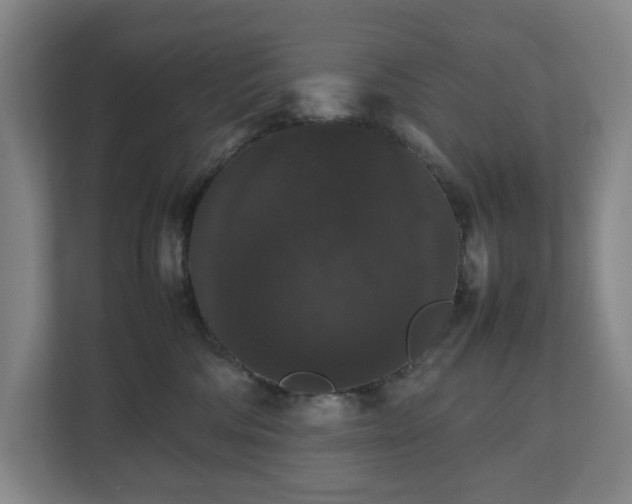 X0000112530330200908241512