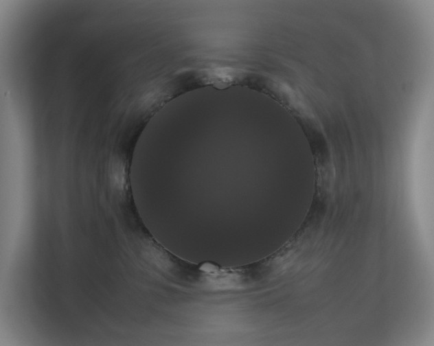X0000112530331200908241512