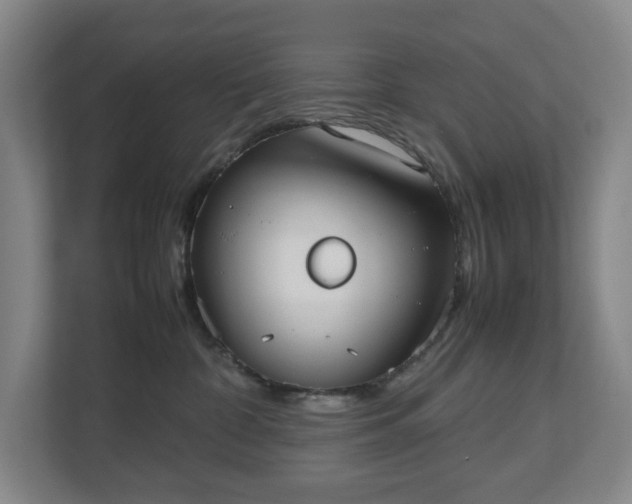 X0000112530332200908241512